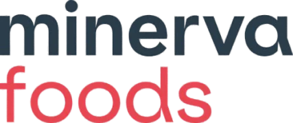 minerva_1.webp